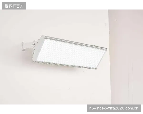 见光不见灯”：防眩光格栅的深度应用正引领体育场照明设计，将视觉干扰降至最低，使灯具融入建筑结构
